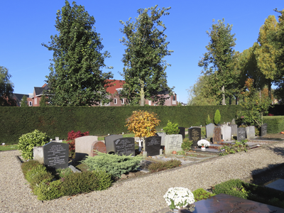 902011 Afbeelding van enkele graven op de Protestantse Begraafplaats (Europaweg 18) te Vleuten (gemeente Utrecht).